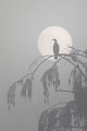Grand cormoran dans la brume matinale  